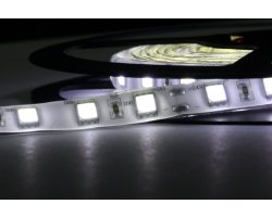 eLite LED páska SMD5050, bílá 8000K, 24V, 1m, IP54, 60 LED/m