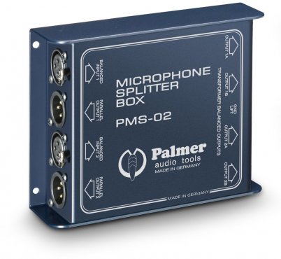 Palmer MS 02