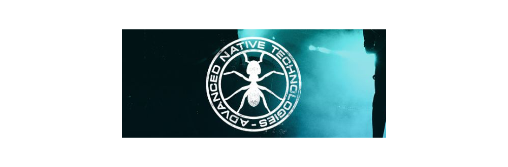 ant