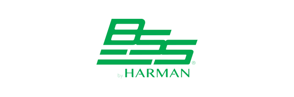 bss
